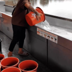 Buddhist life release ritual for merit and blessing Thailand