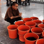 Buddhist life release ritual for merit and blessing Thailand